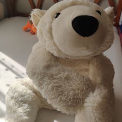 Taddy bear