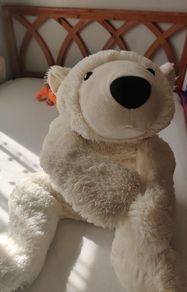 Large Teddy Bear