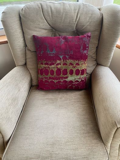cushions x 2