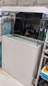Aquarium for Sale