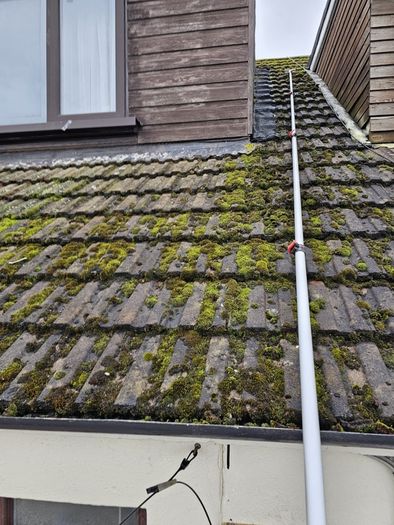 cleaning home inside/outside