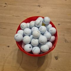 ProV1
