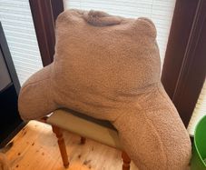 Cushion Reading Support Pillow