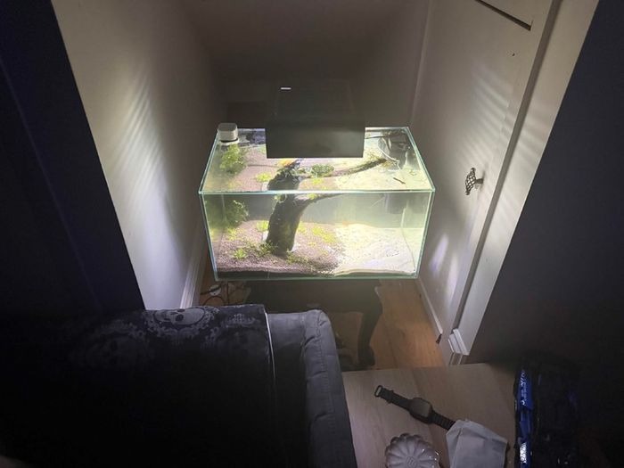 Fluval 23l Fishtank