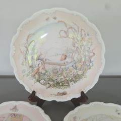 Royal Doulton Plate From The Wind  In The  Willow
