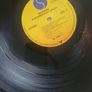 Ramones LP  - Subterranean Jungle Image 4