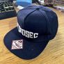 Official Ubisoft Watch Dogs 2 Snapback Cap Hat - Dedsec - 2016 Image 3
