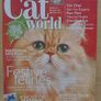 Cat World Image 6