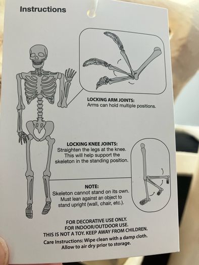 Skeleton