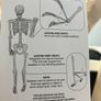 Skeleton posable Image 5