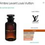 Louis Vuitton Ambre Levant Image 2