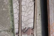 Brass Horse hames