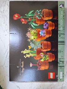 Lego Botanicals tiny Plants 10329 used. All pieces accounted for with instructions book