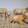 schleich animals horse cow goat wolf Image 3