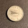 Irish Floirin coin 1955 Image 2