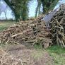 large amount logs &firewood Image 3