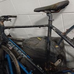 giant bike