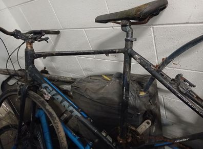 giant bike