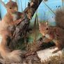 taxidermy Image 2