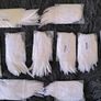 white feathers 50pcs Image 3