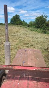 Square bales hay