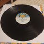 The Space Brothers - Shine 2000, 12" , (Vinyl) Image 3