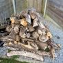 Wood Logs Image 2