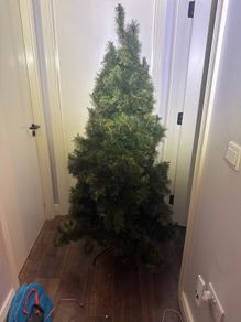 christmas tree