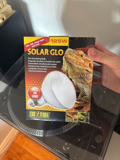 Light for reptile tank with bulb