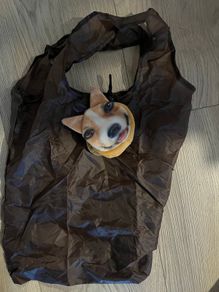 Foldable Shopping Bag
