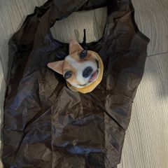 Foldable Shopping Bag