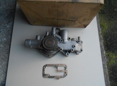 Renault 18 / Fuego Water Pump.