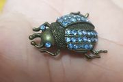 Vintage Beetle Brooch