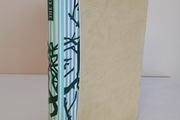 The Europeans by Henry James (HQ259)