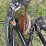 Bentini Raptor 26 Image 7