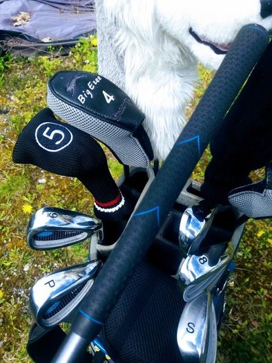 Set of Ladies Golf Clubs