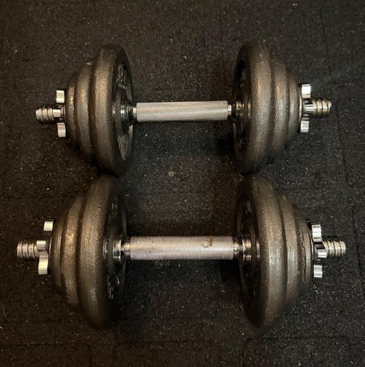 2 x 10KG Cast Iron Weight Dumbells