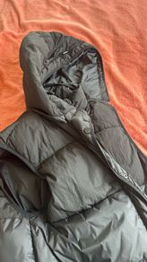 zara vest