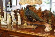 Melanistic Black Pheasant Taxidermy Mount