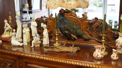 Melanistic Black Pheasant Taxidermy Mount