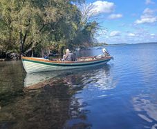 boats