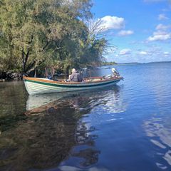 boats