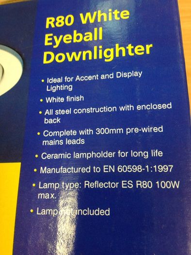 R80 Eyeball Downlighter