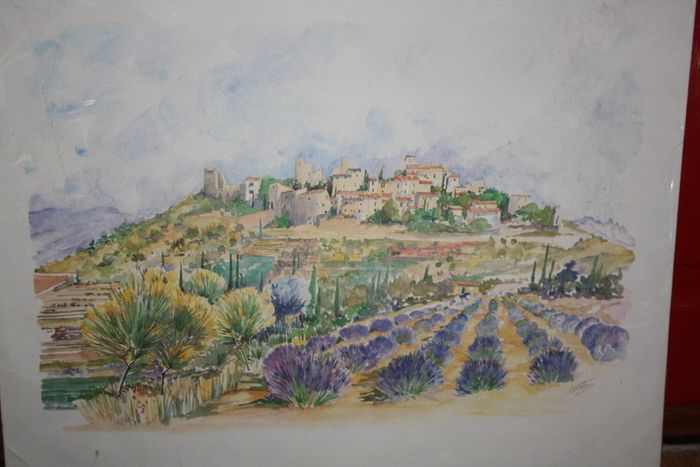 THE LAVENDER FIELDS