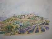 THE LAVENDER FIELDS