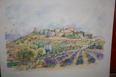 THE LAVENDER FIELDS