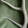 Deer Antlers (30" high) Image 4