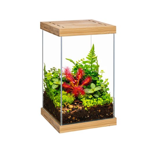 Aquael Selva Mini Terrarium T