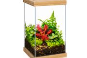 Aquael Selva Mini Terrarium T