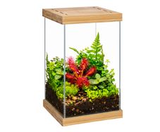 Aquael Selva Mini Terrarium T